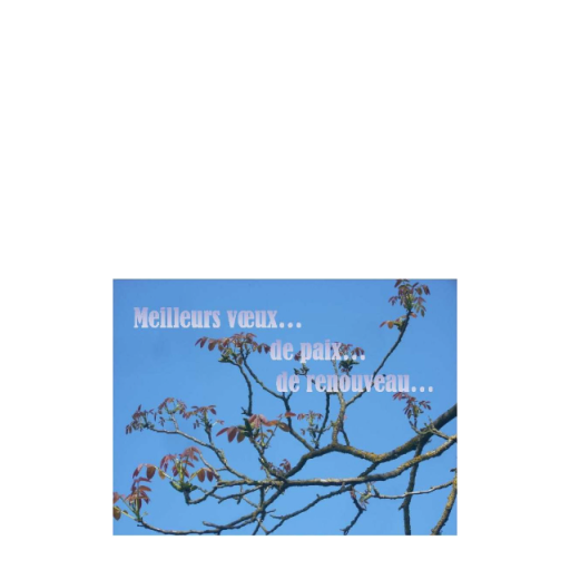 Carte amitié de Cartes de la Nature