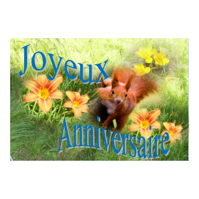 Carte Anniversaire La Boutique De Theophile