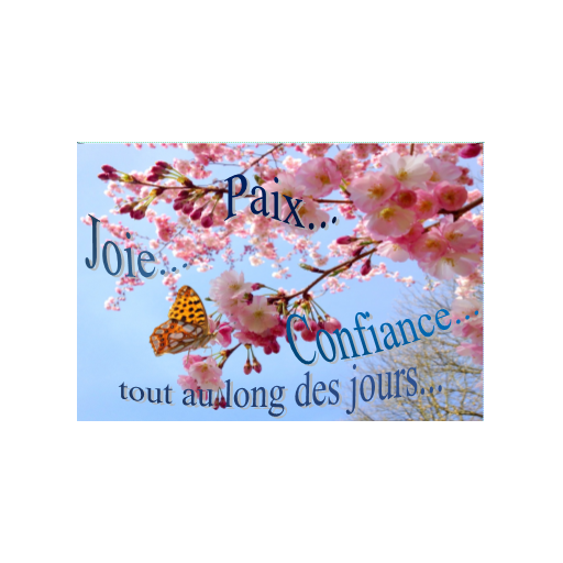 Carte de vœux paix joie et confiance pour tous les jours artistique florale créative Artisanat monastique de Carterie