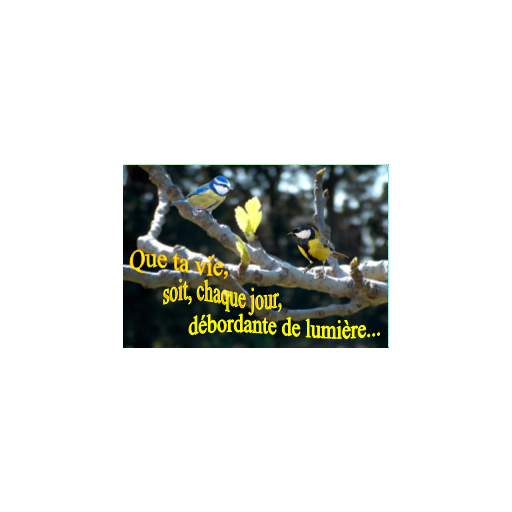 Carte de vœux la vie chaque jour débordante de lumière invitation à la paix interieure Artisanat monastique de Carterie