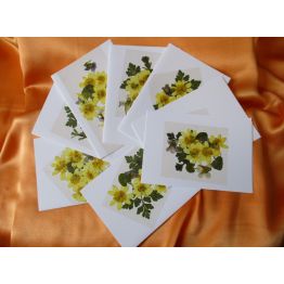 Carte du jardin fleurs jaunes