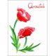 Carte Coquelicot amitié de Carterie