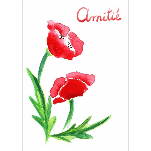 Carte Coquelicot amitié de Carterie