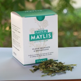 PLANTE DE MAYLIS - TISANE - DRAINANTE-DETOXIFIANTE- reins - foie