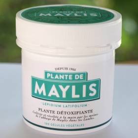 Achetez en ligne notre PLANTE DE MAYLIS - GELULES