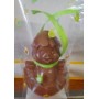 poussin chocolat LAIT
