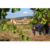 carton de 6 bouteilles de vin LOUANGE, coteaux d'Aix en Provence 2021 vin rouge de Vins & Spiritueux