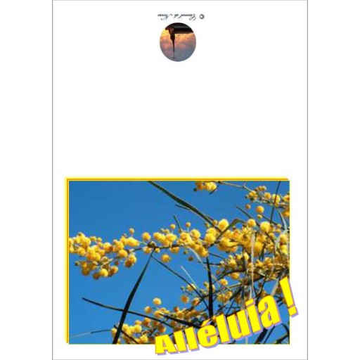 Carte amitié de Carterie