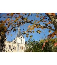 Carmel de Lourdes