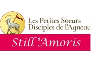 STILLAMORIS - Petites sœurs disciples de l’Agneau